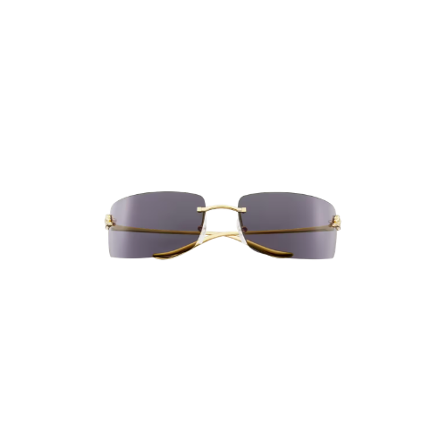 Cartier - Panthère Frame