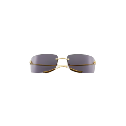 Cartier - Panthère Frame